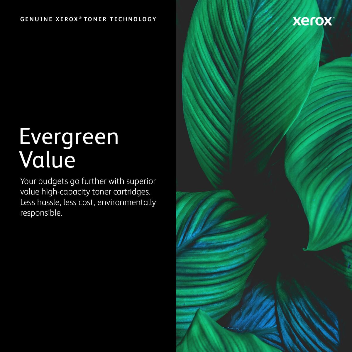 V2H524D8F9F81DAD1F621EDCC4296AE6B75R7723227P7