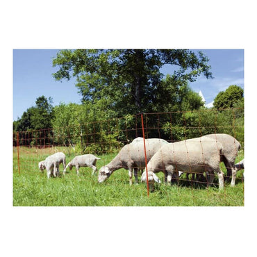 V6H2A33D4FB1A1E736B9DEB94D64210CA08R4132488P2