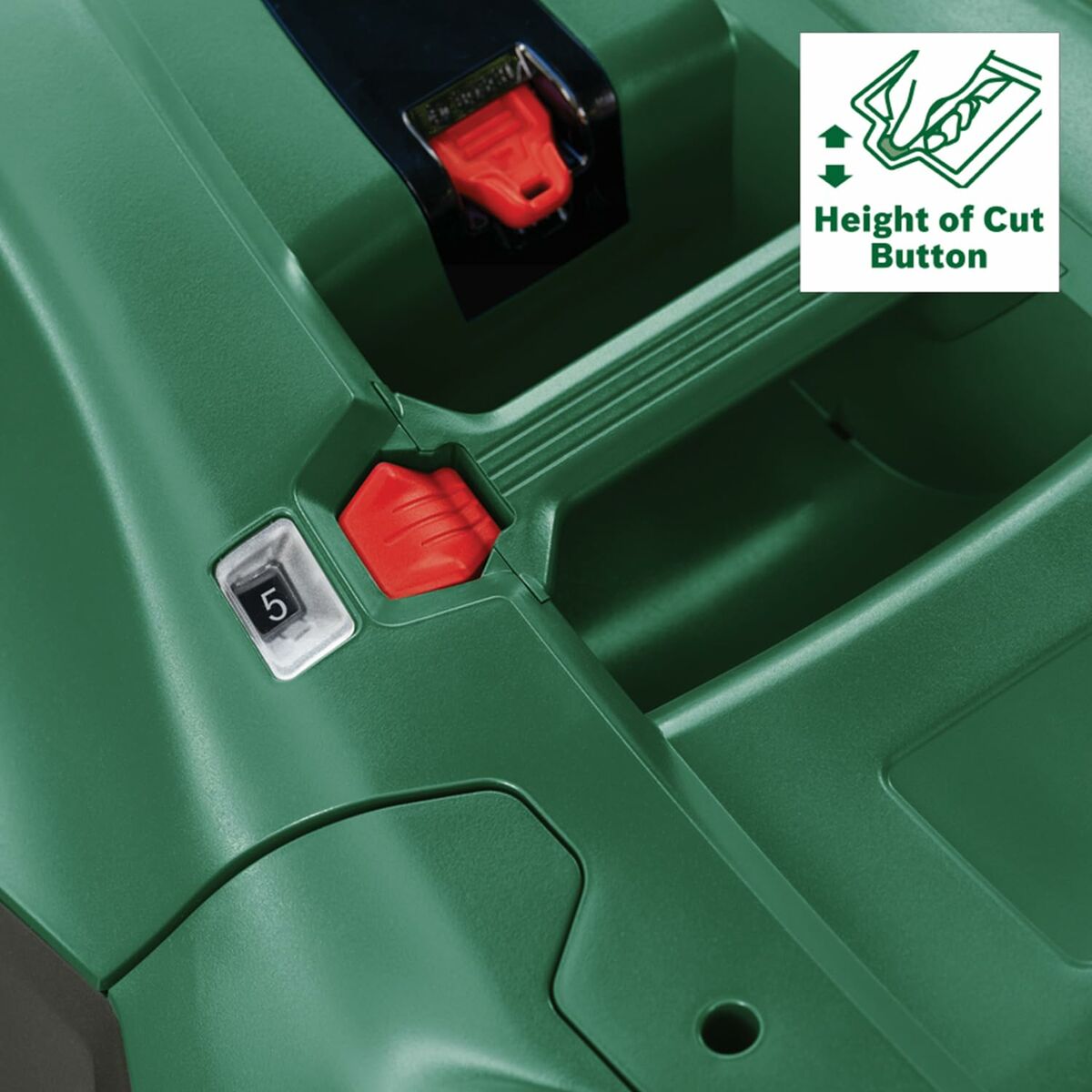 V6HE06CDBB1A99BC73B81E9651654247587R6165654P8