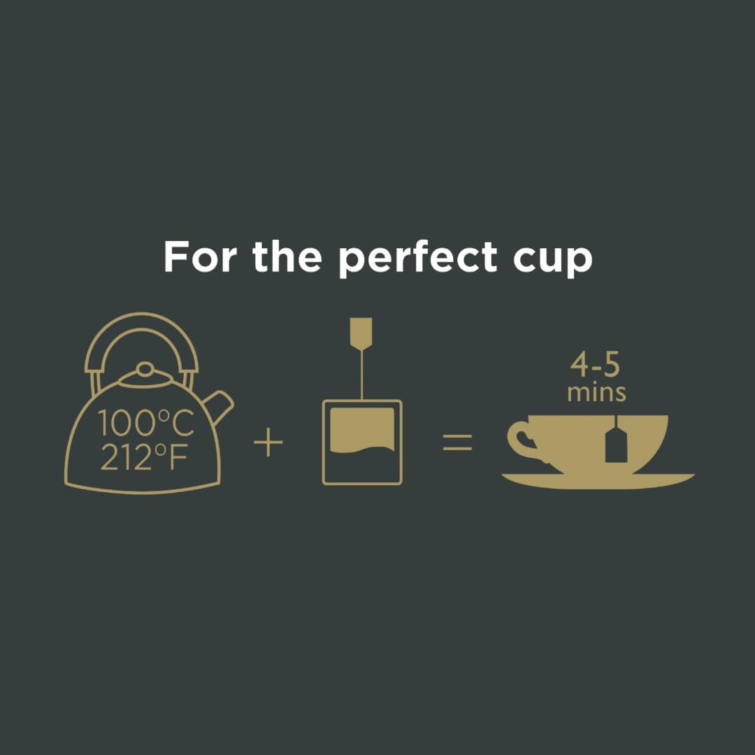 Taylors of Harrogate English Breakfast, Black Tea, Pillow Tea Bags, 50 Count (Pack of 1), Rich, Bright & Malty, Caffeinated, Enjoy Hot or Iced, 50 Teabags