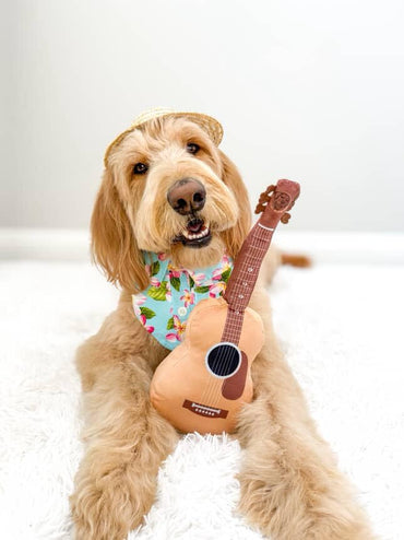 PUPROAR Acoustic Guitar Dog Toy - Christmas & Birthday Dog Gift, Interactive Squeaker & Crinkle, Plush & Cute, Fun Puppy Stocking Stuffer