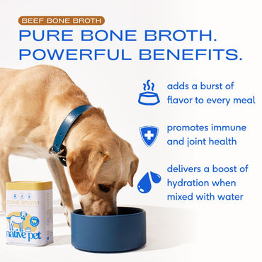 Native Pet Bone Broth for Dogs - Made with Real Beef Bone Broth, Dog Food Toppers for Picky Eaters - Provides Extra Hydration & Nutrition for Joint Strength, Immunity & Heart Health-48 Scoops