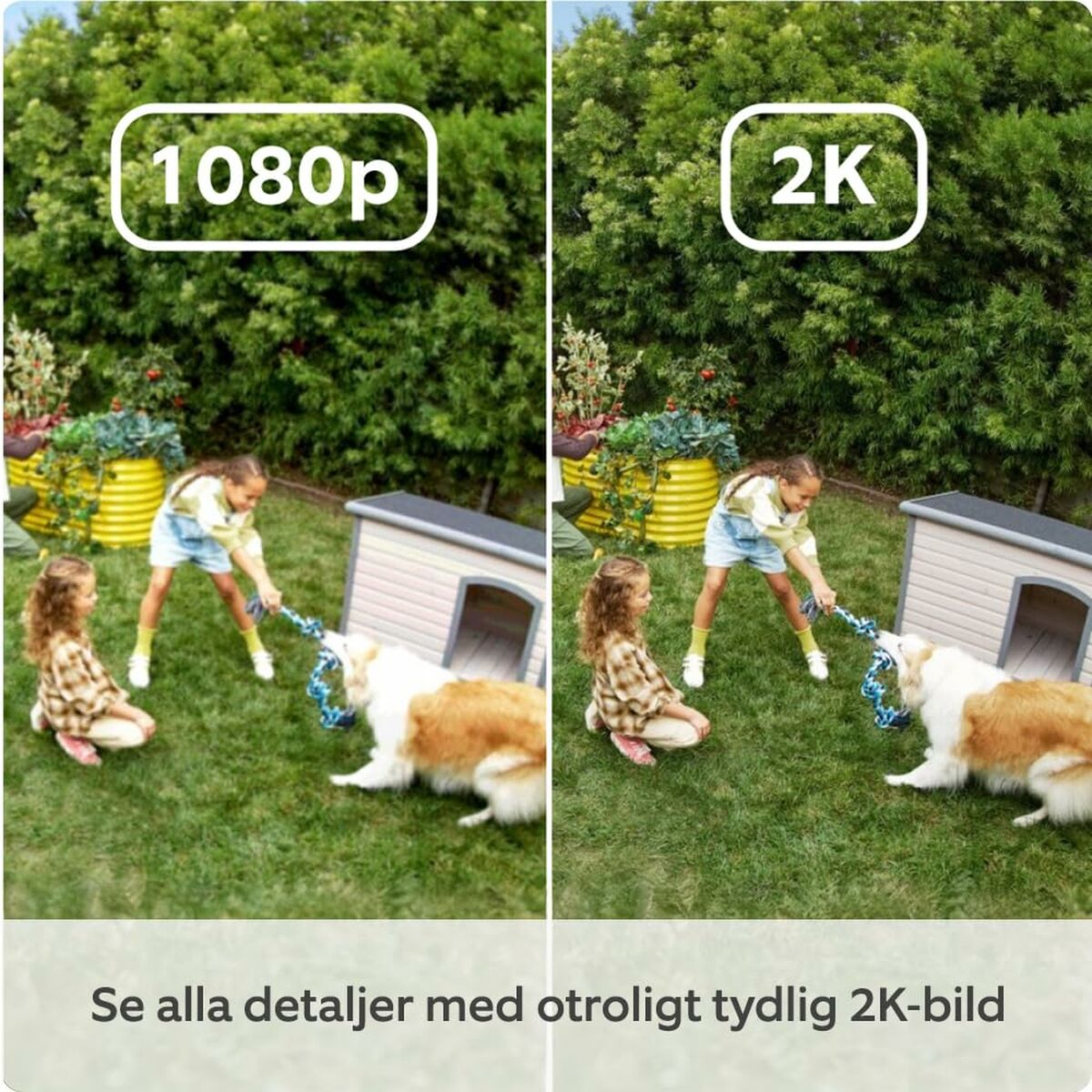 V3HEC3E09E5B8E6BC0F240A2C96F6B9564FR7556765P4