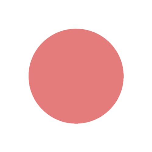 SABRENT 1TB Rocket Nano Externe Aluminium-SSD Bis zu 1000MB/s (Pink) (SB-1TB-NANO-PNK) 