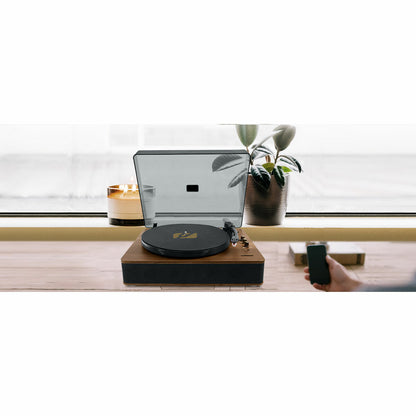 V3H2BDE8DB84B6B5020A7CF0624824DBD2FR7093797P9