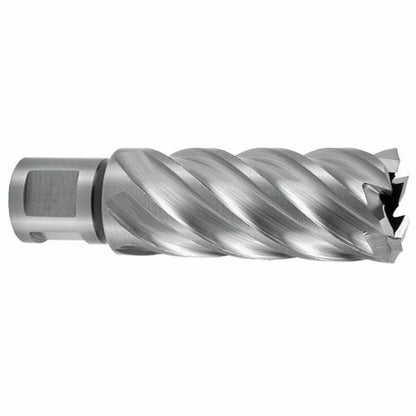 V3HBD1D78360368D1C04FDAE0E2B8880390R6604278P1