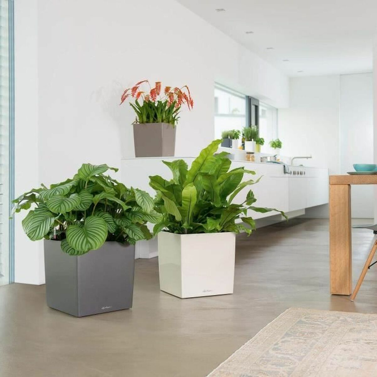 V7HEC3E1DE3A51CF0B2C743B9CF5F4EDFB3R7024086P5