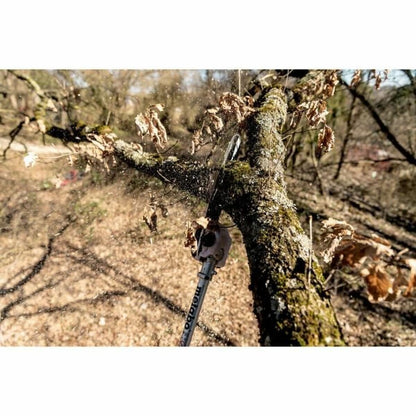 V5H9BD738405C9CDE72FED4831CC00A95CCR7319966P6