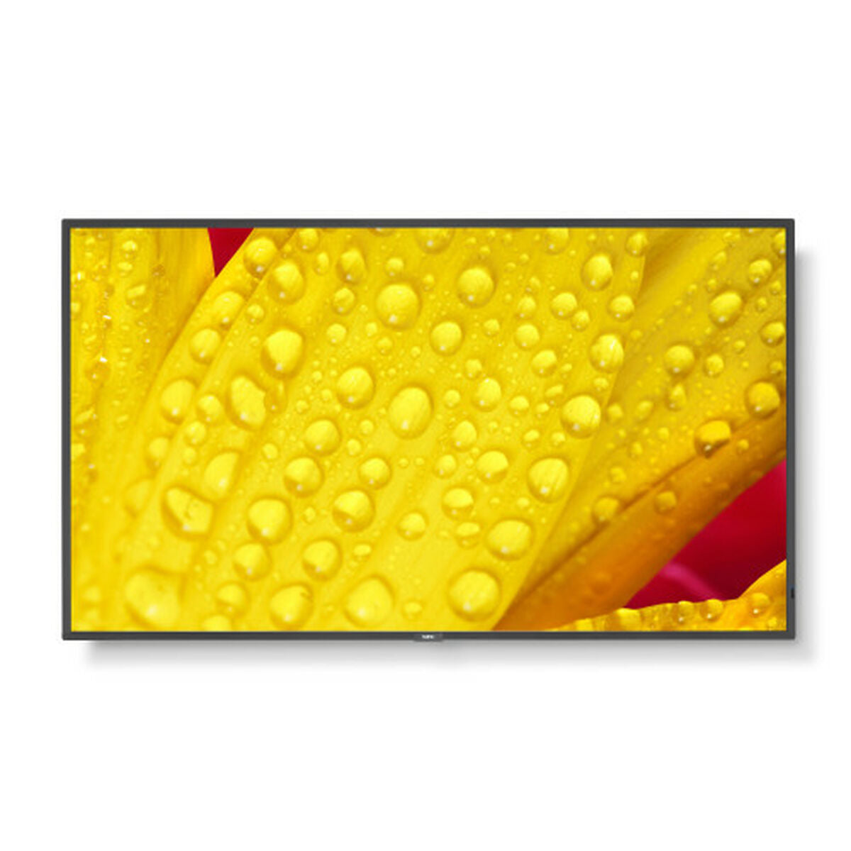 V2HFF70A8AEE1EE6E559919DCA0CDC014FCR7423589P1