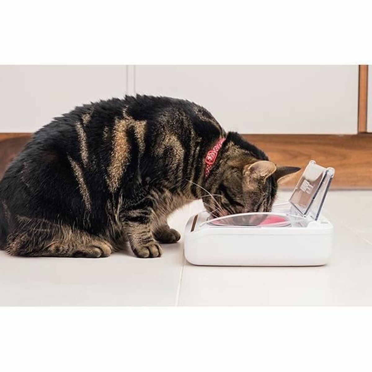 V10HBFF002E624DDE0A0D0F49C2F66C7F8FCR6670302P6