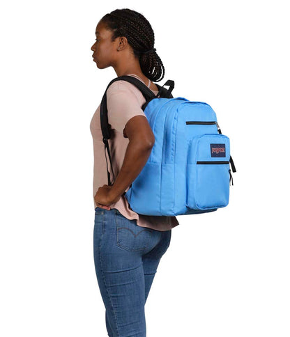 JanSport Laptop-Rucksack – Computertasche mit 2 Fächern, ergonomischen Schultergurten, 15-Zoll-Laptopfach, Tragegriff – Bücherrucksack – Erdbeer-Dusche 