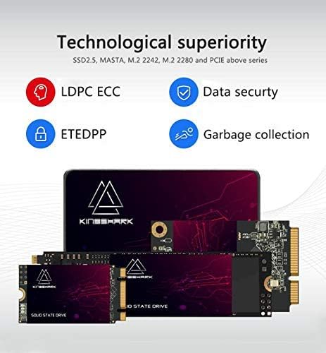 Kingshark M.2 2242 SSD 64GB NGFF Interne Solid-State-Festplatte, Hochleistungsfestplatte für Desktop-PCs und Laptops, SATA III 6 Gbit/s, inklusive SSD (64 GB, M.2 2242) 