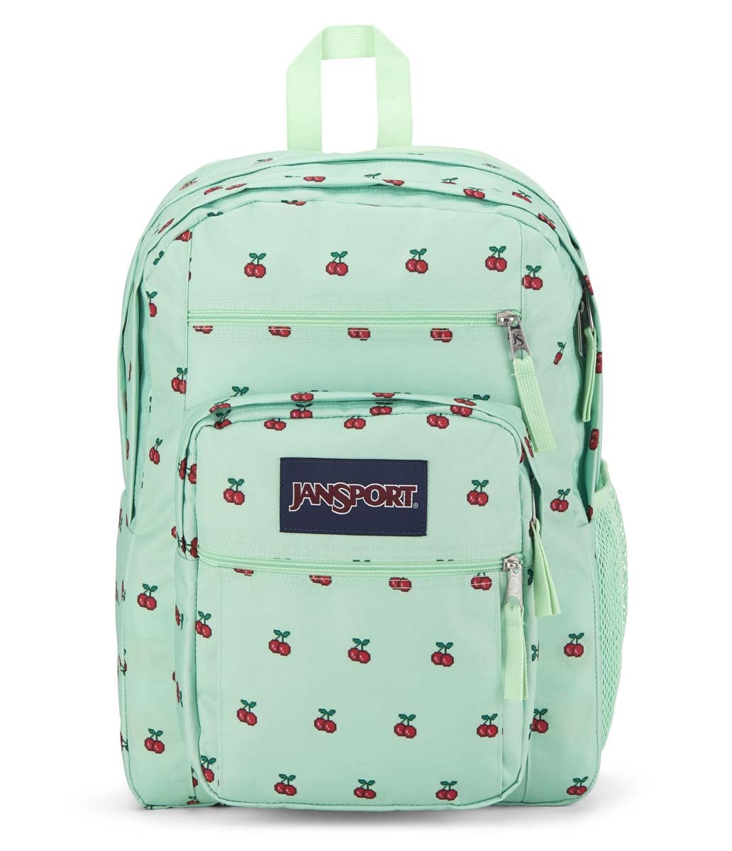 JanSport Laptop-Rucksack – Computertasche mit 2 Fächern, ergonomischen Schultergurten, 15-Zoll-Laptopfach, Tragegriff – Bücherrucksack – Erdbeer-Dusche 
