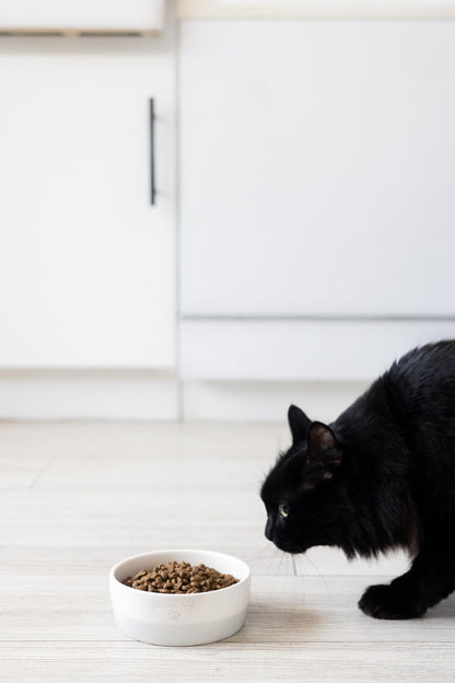 Birnenförmige Keramikschüssel, Fassungsvermögen: 2 Tassen, niedliches, schnurrbartfreundliches Geschirr mit Katzenmotiv, rutschfest, mikrowellen- und spülmaschinengeeignet, klein/mittel 