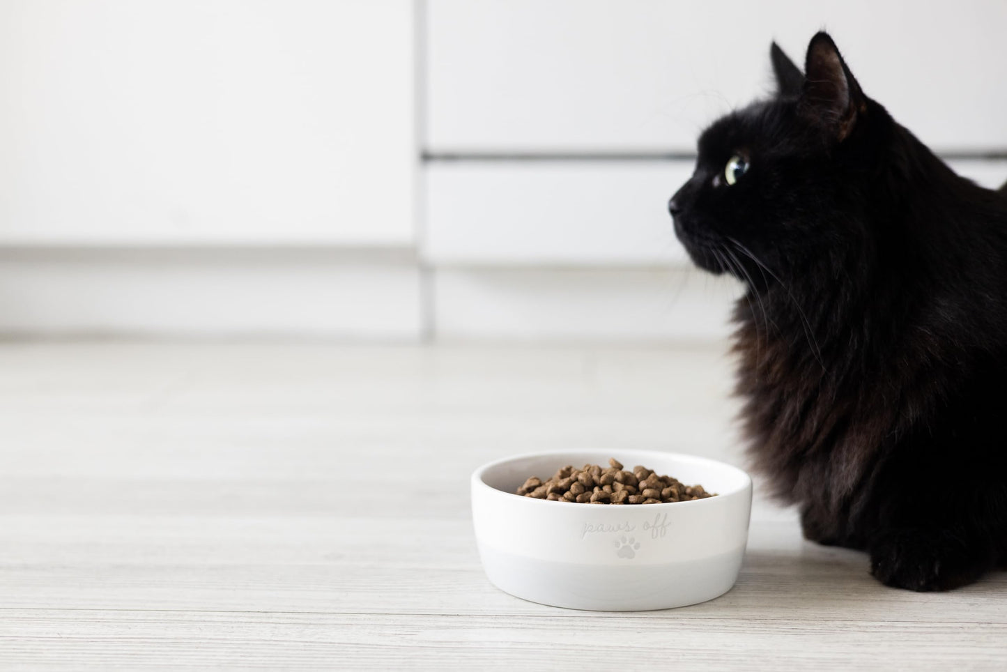 Birnenförmige Keramikschüssel, Fassungsvermögen: 2 Tassen, niedliches, schnurrbartfreundliches Geschirr mit Katzenmotiv, rutschfest, mikrowellen- und spülmaschinengeeignet, klein/mittel 