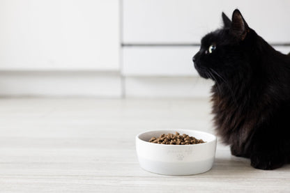 Birnenförmige Keramikschüssel, Fassungsvermögen: 2 Tassen, niedliches, schnurrbartfreundliches Geschirr mit Katzenmotiv, rutschfest, mikrowellen- und spülmaschinengeeignet, klein/mittel 