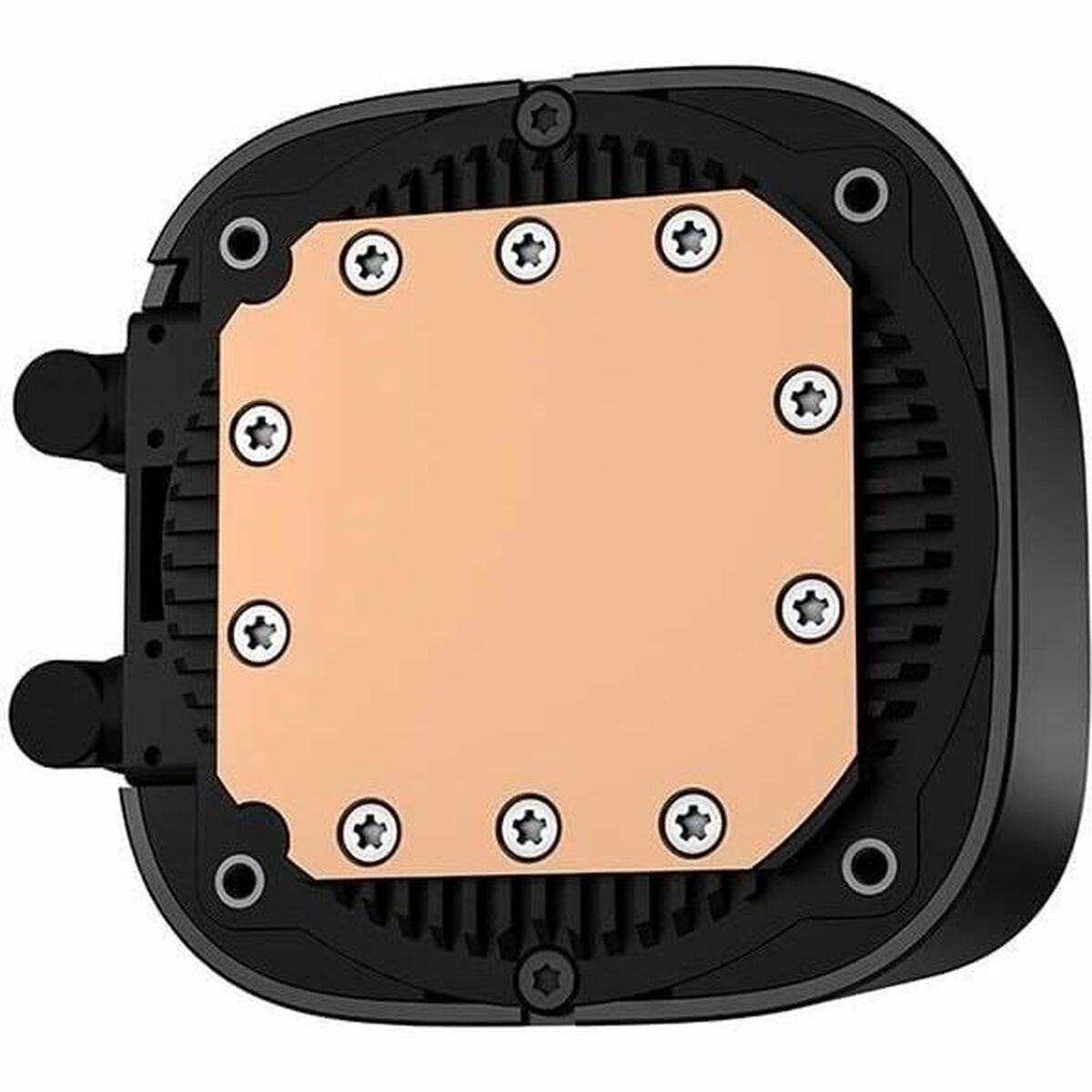 V8HE25CC55F73370CC1D466CADB2C0B0F7CR4280373P4