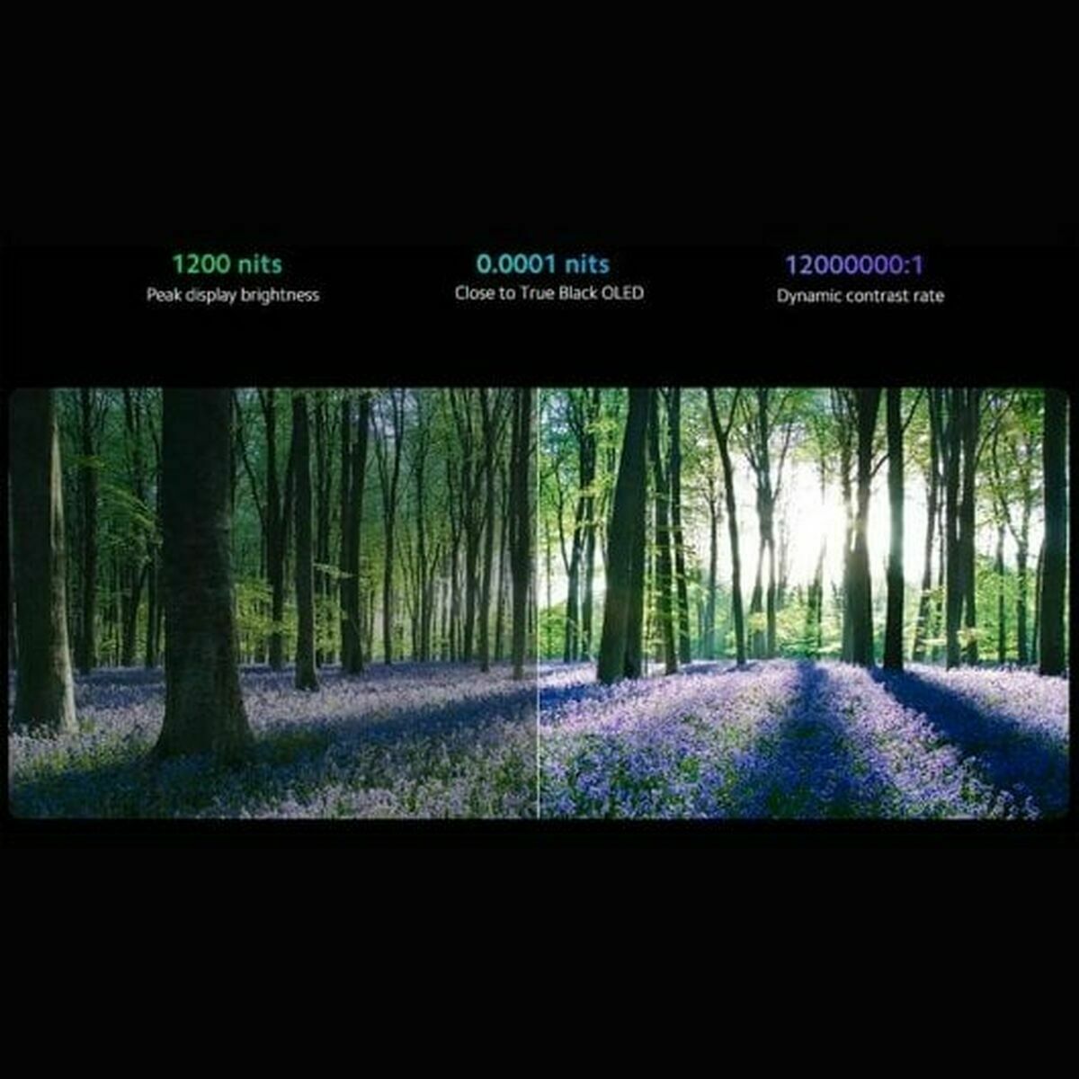 V3H6F409E24718B521FE5E4B70A01BF9FC8R6881210P9