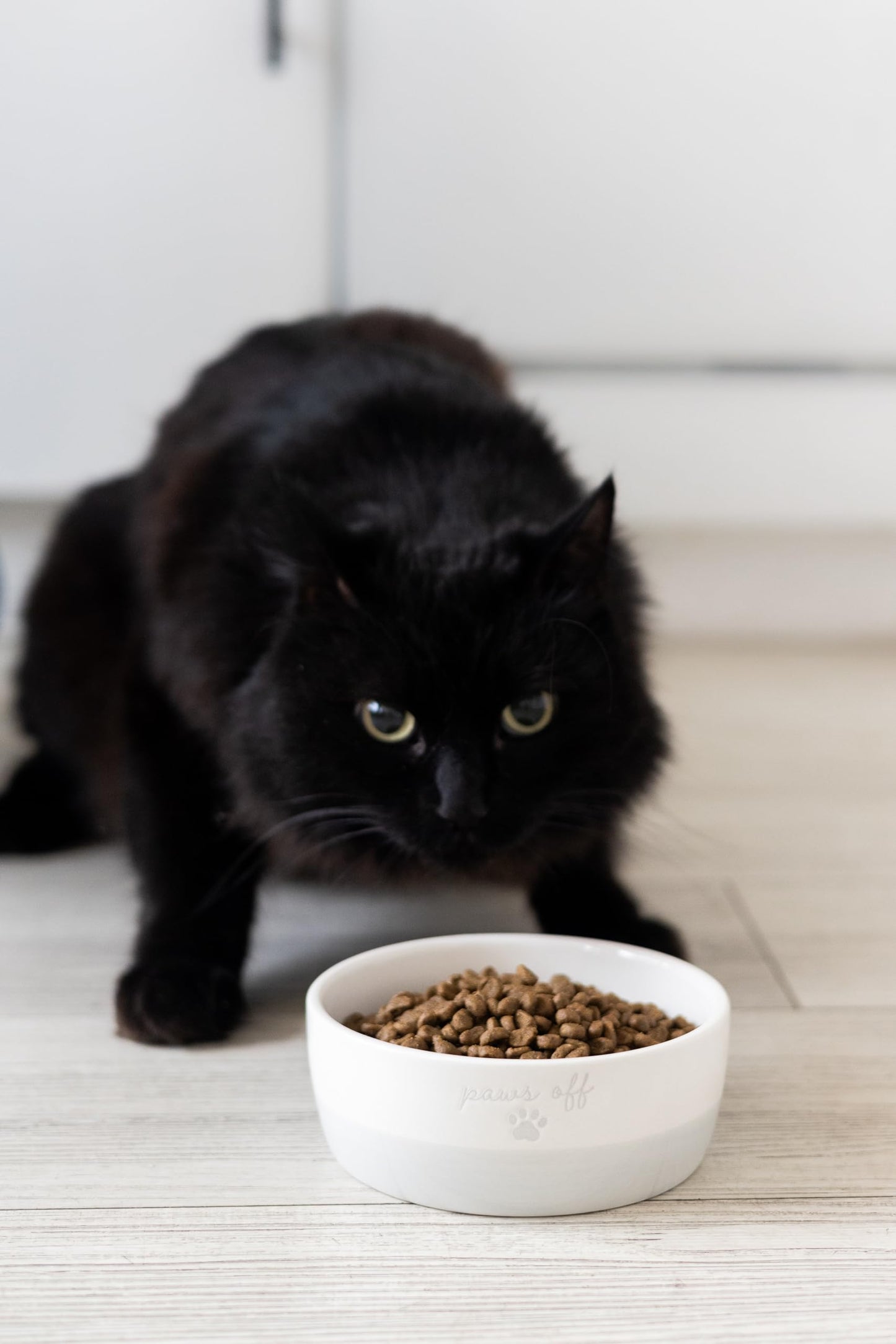 Birnenförmige Keramikschüssel, Fassungsvermögen: 2 Tassen, niedliches, schnurrbartfreundliches Geschirr mit Katzenmotiv, rutschfest, mikrowellen- und spülmaschinengeeignet, klein/mittel 