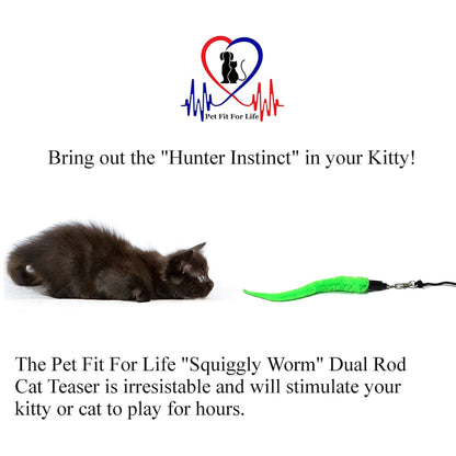 Pet Fit For Life Cat Wand Toy: 5-Piece Worm Teaser & Exerciser - Durable Flirt Pole/Cat Teaser Toy - Interactive Fun for Feline Fitness