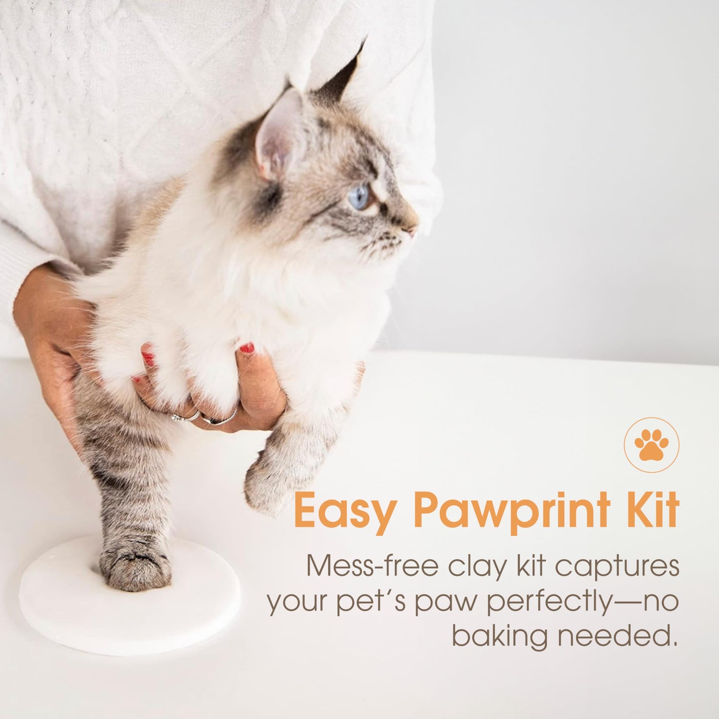 Pearhead Pet Paw Print Photo Frame With Clay Imprint Kit - Wooden Pet Paw Print Frame, DIY Memorial Keepsake for Cats and Dogs, No Mess Clay for Perfect Pawprints, Ideal Home Decor and Gift, Black