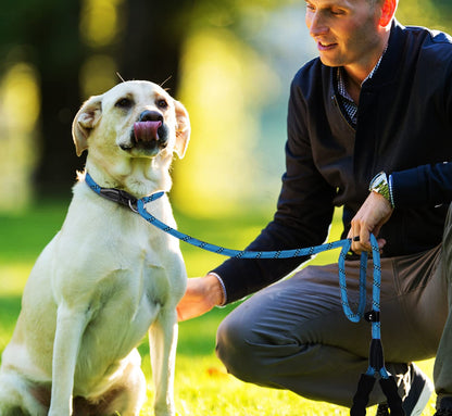 Hundeleine, 1,8 m lange, robuste Hundeleine, strapazierfähige Premium-Qualität, starke Seil-Schlupfleine mit komfortablem, gepolstertem Griff und hochreflektierenden Fäden für kleine, mittlere und große Hunde, (Schwarz) 