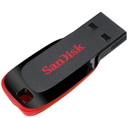 SanDisk 8GB Cruzer Blade USB-Stick 2er-Pack SDCZ50-008G-B35 – Bundle mit 1 „Everything But Stromboli“-Lanyard