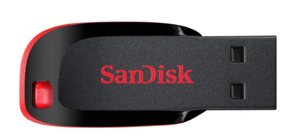 SanDisk 8GB Cruzer Blade USB-Stick 2er-Pack SDCZ50-008G-B35 – Bundle mit 1 „Everything But Stromboli“-Lanyard