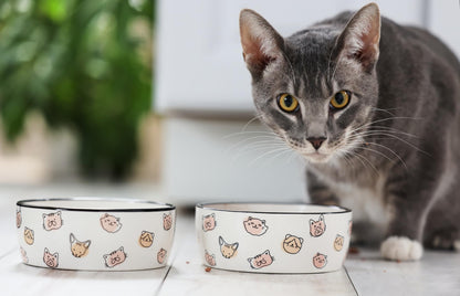 Pearhead Ceramic Bowl, Holds 2 Cups, Cute Whisker-Friendly Dish with Cat Face Design, Non-Slip, Microwave and Dishwasher Safe, Small/Medium