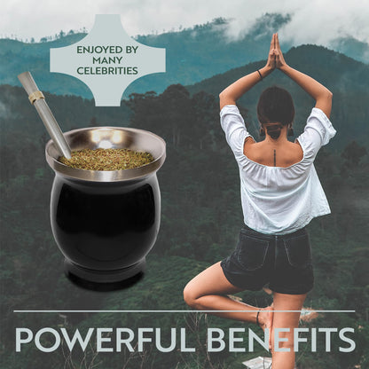 Norte Yerba Mate Tassen-Set, 237 ml (8 oz) Traditionelles Mate-Tee-Tassen-/Kalebasse-Set | Inklusive 2 Bombillas (Yerba-Mate-Strohhalm) &amp; Reinigungsbürste, Edelstahlbecher, doppelwandig, leicht zu reinigen | Schwarz