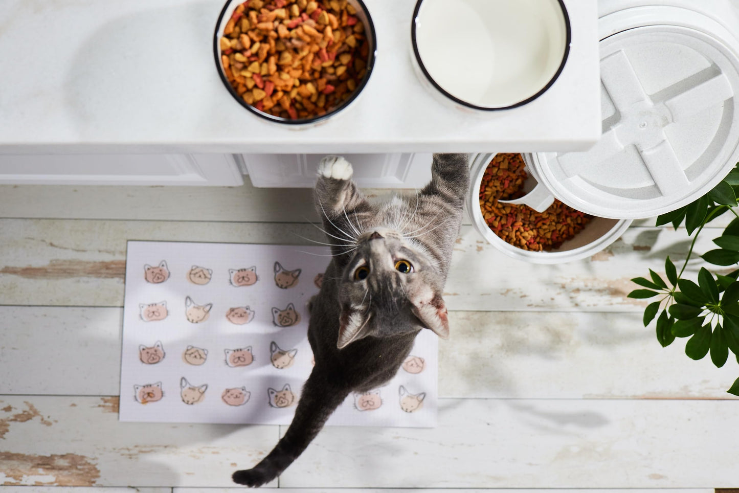 Birnenförmige Keramikschüssel, Fassungsvermögen: 2 Tassen, niedliches, schnurrbartfreundliches Geschirr mit Katzenmotiv, rutschfest, mikrowellen- und spülmaschinengeeignet, klein/mittel 