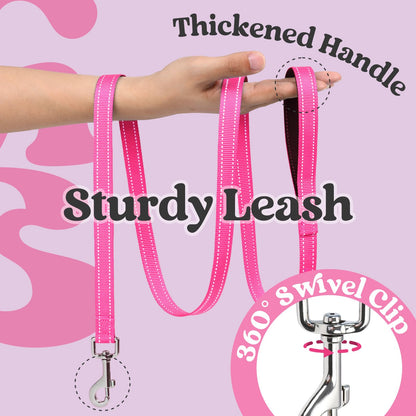 rabbitgoo Hundegeschirr und Leine, Größe S, atmungsaktives Einstiegsgeschirr, weiche, reflektierende Welpenweste für kleine Hunde, Schwarz &amp; Rosarot, Größe S