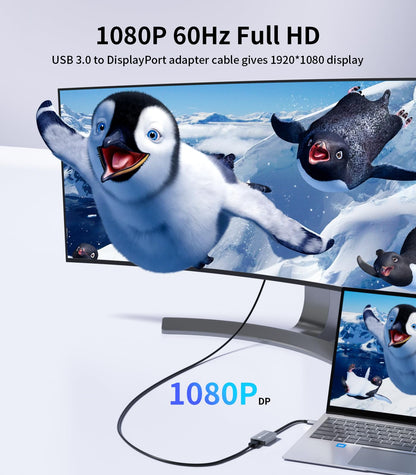 Reborn USB 3.0 auf DisplayPort Adapter, 1080P@60Hz USB 3.0 Stecker auf DisplayPort Buchse Multi-Display-Kabelkonverter, geeignet für MAC OS, Windows 7/8/10/11