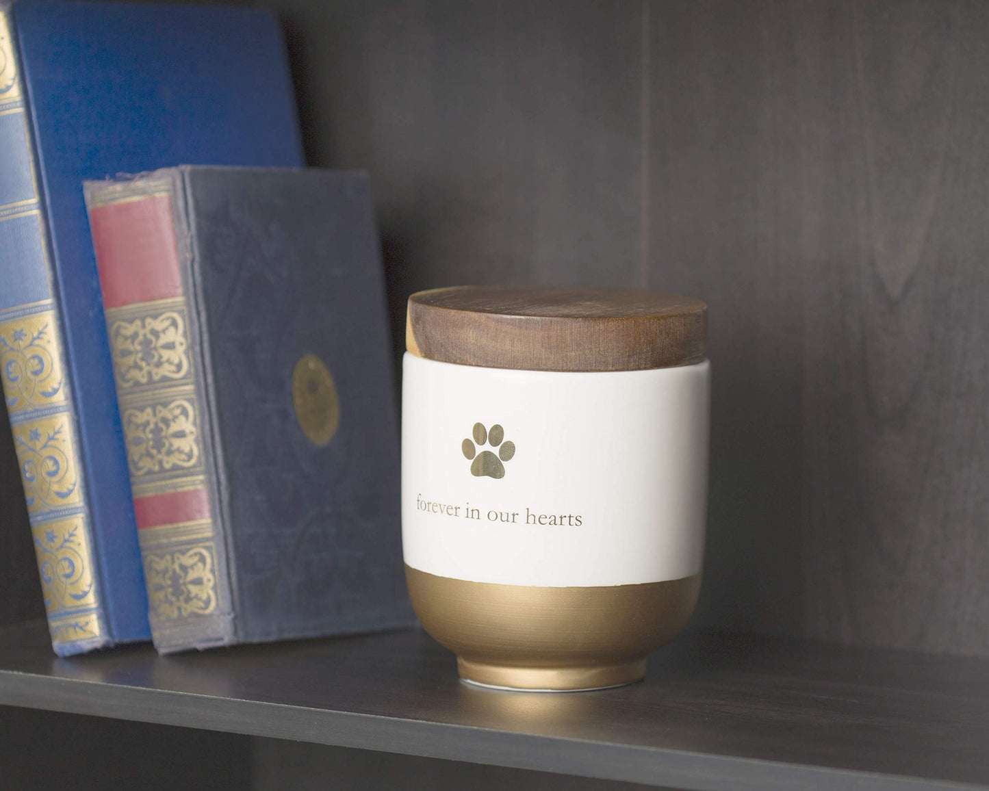 Pearhead Pet Ceramic Forever in Our Hearts Urn, Pet Memorial, Dog Or Cat Keepsake Urn, Rainbow Bridge, Gold