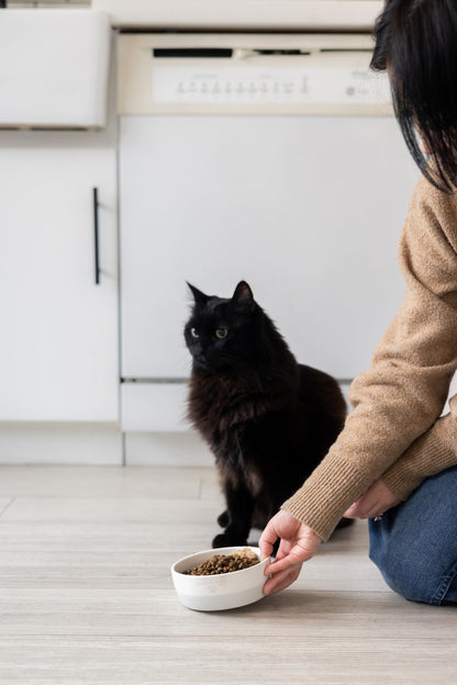 Birnenförmige Keramikschüssel, Fassungsvermögen: 2 Tassen, niedliches, schnurrbartfreundliches Geschirr mit Katzenmotiv, rutschfest, mikrowellen- und spülmaschinengeeignet, klein/mittel 