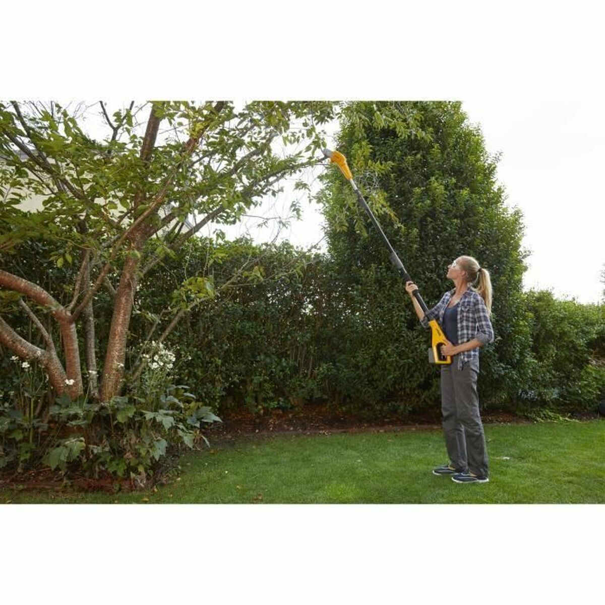 V5HEDA79D0287129CF92D21DA3181F4A26FR7106234P6