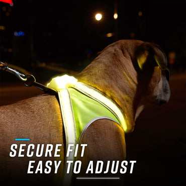 Noxgear LightHound - Revolutionary Illuminated and Reflective Harness for Dogs Including Multicolored LED Fiber Optics (USB Rechargeable, Adjustable, Lightweight, Rainproof) (Large)