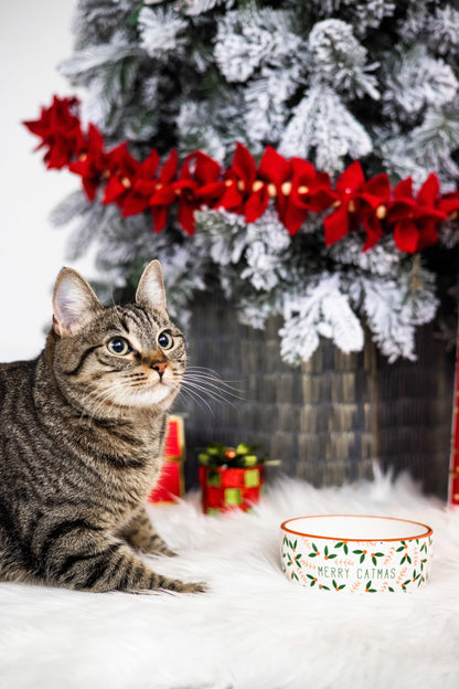 Birnenförmige Keramikschüssel, Fassungsvermögen: 2 Tassen, niedliches, schnurrbartfreundliches Geschirr mit Katzenmotiv, rutschfest, mikrowellen- und spülmaschinengeeignet, klein/mittel 