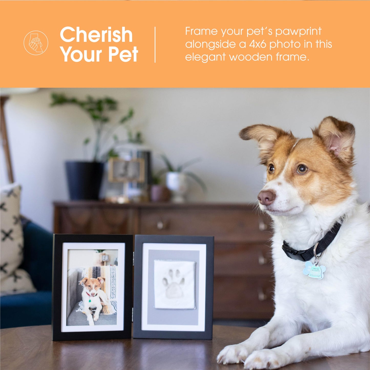 Pearhead Pet Paw Print Photo Frame With Clay Imprint Kit - Wooden Pet Paw Print Frame, DIY Memorial Keepsake for Cats and Dogs, No Mess Clay for Perfect Pawprints, Ideal Home Decor and Gift, Black