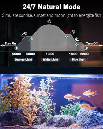 Pawfly 5 W Aquarium LED Light 8 Inch 24/7 Fish Tank Light with Full Spectrum Brilliant White Blue Red Green Lights Multi-Colored LEDs with D/N Mode Single Color Effects Timer and Adjustable Brightness