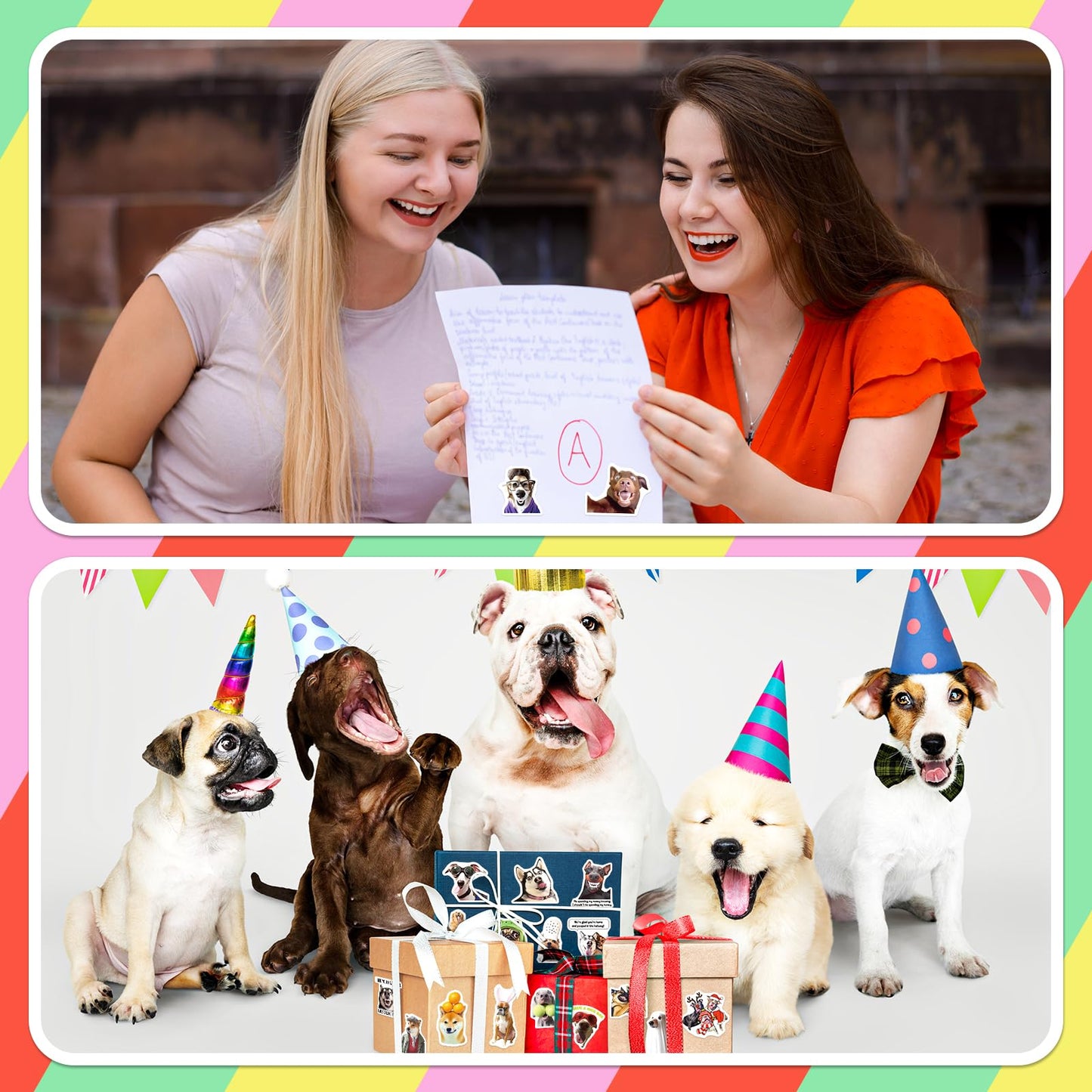 SigyoJeom 200PCS Funny Dog Meme Stickers for Laptop, Puppy Funny Stickers for Adults Teenagers Dogs Sticker Pack Water Bottles Phone Case Meme Pets Dogs Party Decal for Dog Lovers