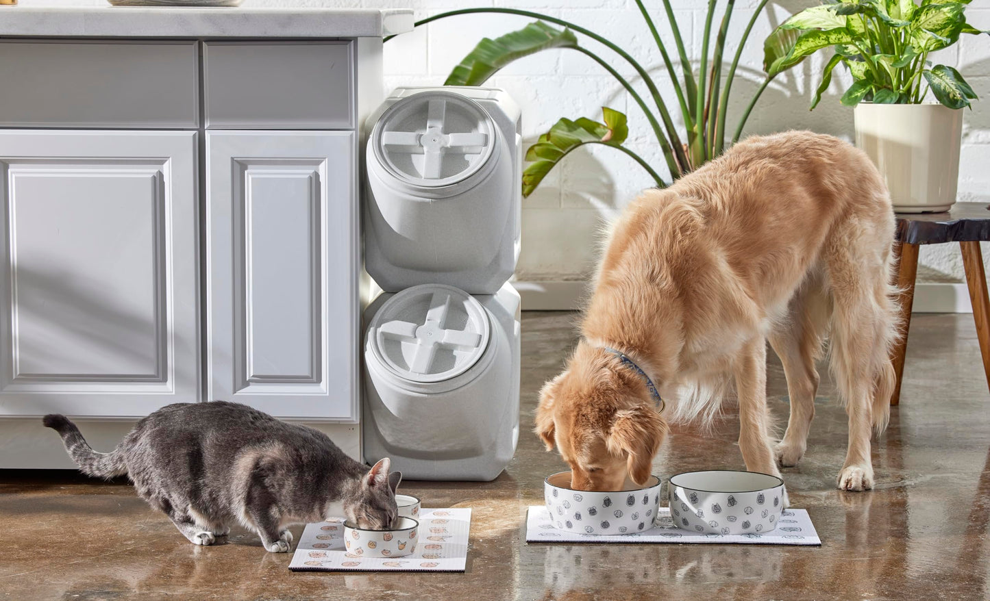 Birnenförmige Keramikschüssel, Fassungsvermögen: 2 Tassen, niedliches, schnurrbartfreundliches Geschirr mit Katzenmotiv, rutschfest, mikrowellen- und spülmaschinengeeignet, klein/mittel 