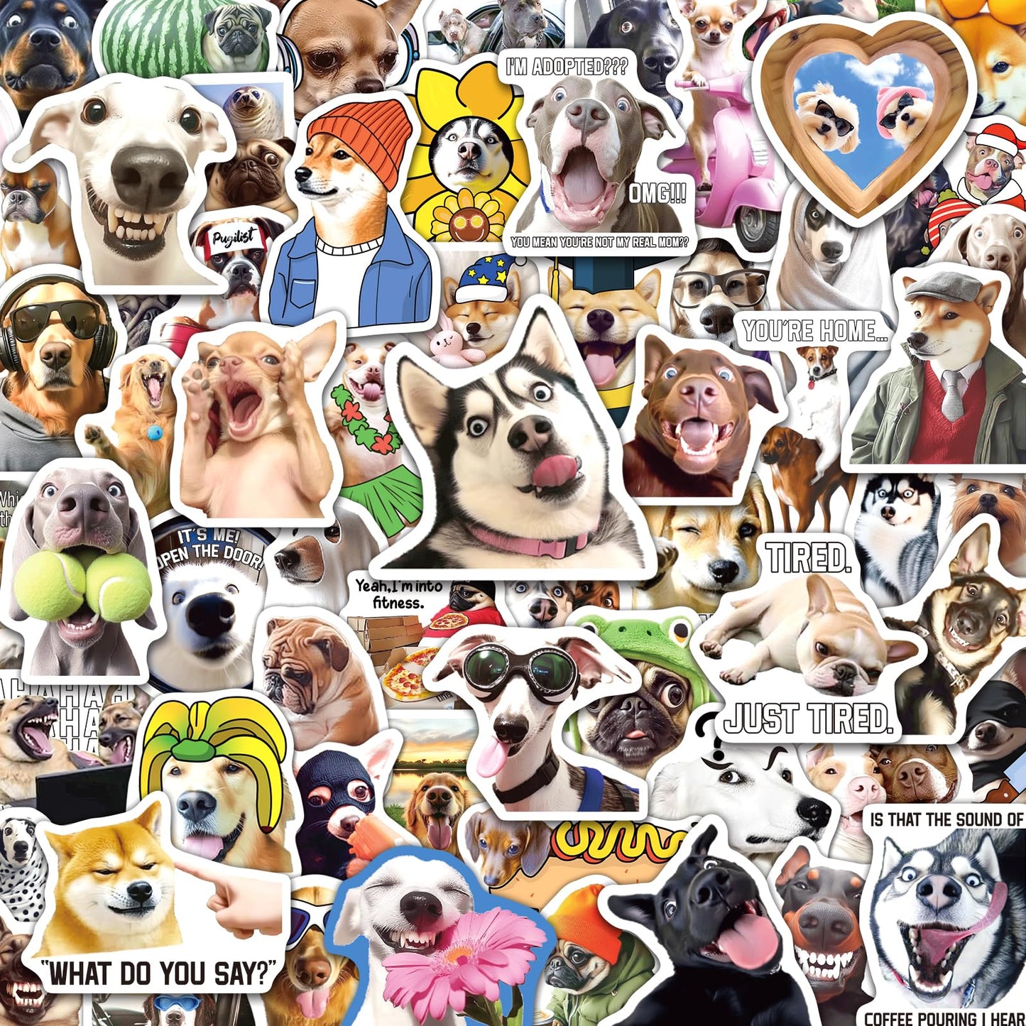 SigyoJeom 200PCS Funny Dog Meme Stickers for Laptop, Puppy Funny Stickers for Adults Teenagers Dogs Sticker Pack Water Bottles Phone Case Meme Pets Dogs Party Decal for Dog Lovers