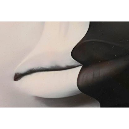 V10H4B8B0FE8BFDD611C4D6D541D060C4497R7484875P3