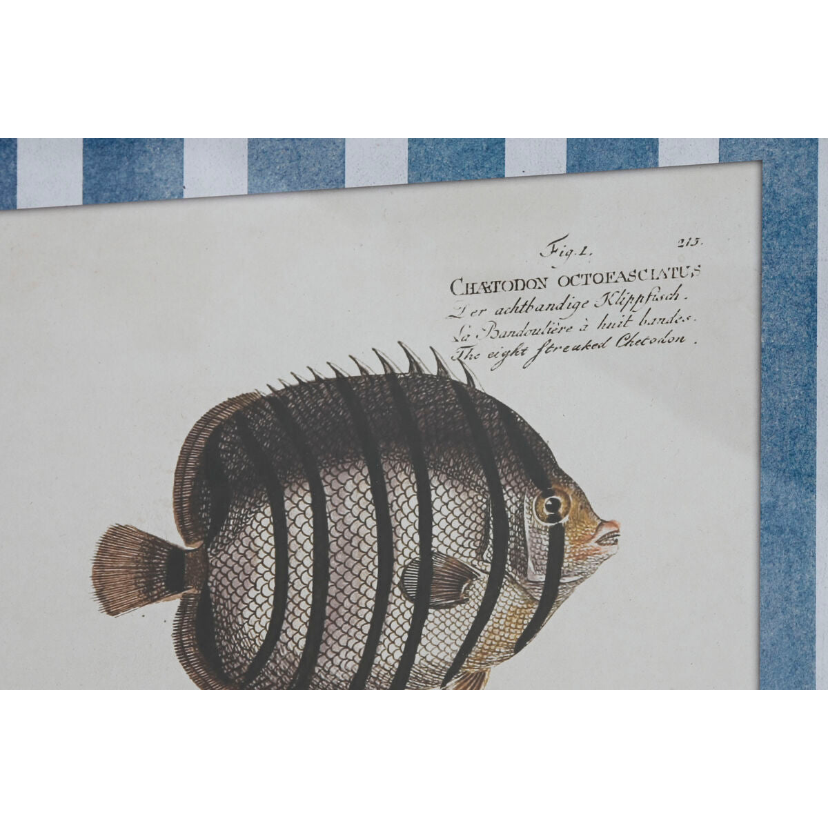 V7H3DDD5961F4583F29B4B8A9C6689D4499R6371809P2