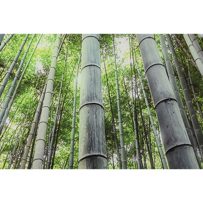 V5H8DFEE6D2C125F126D2F6B9B79C3C8A6BR6373240P3