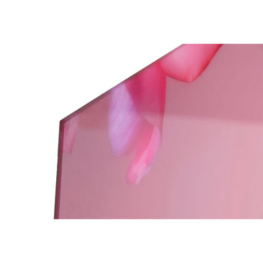 V6H5551727F29A85B435B3C892067D12790R6373380P2