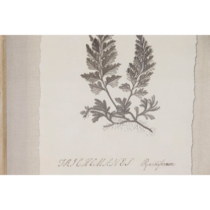 V4HD50A711DD2AF01BEE72040435CFD4CE6R7430172P3