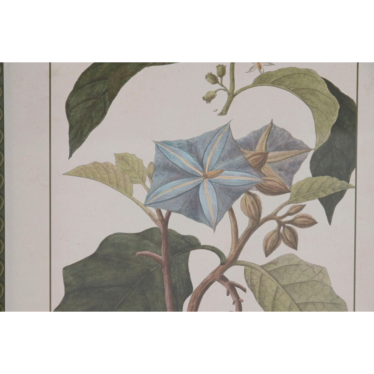 V2H6A1B301614B01879EA22F7B9EC585084R7429467P3