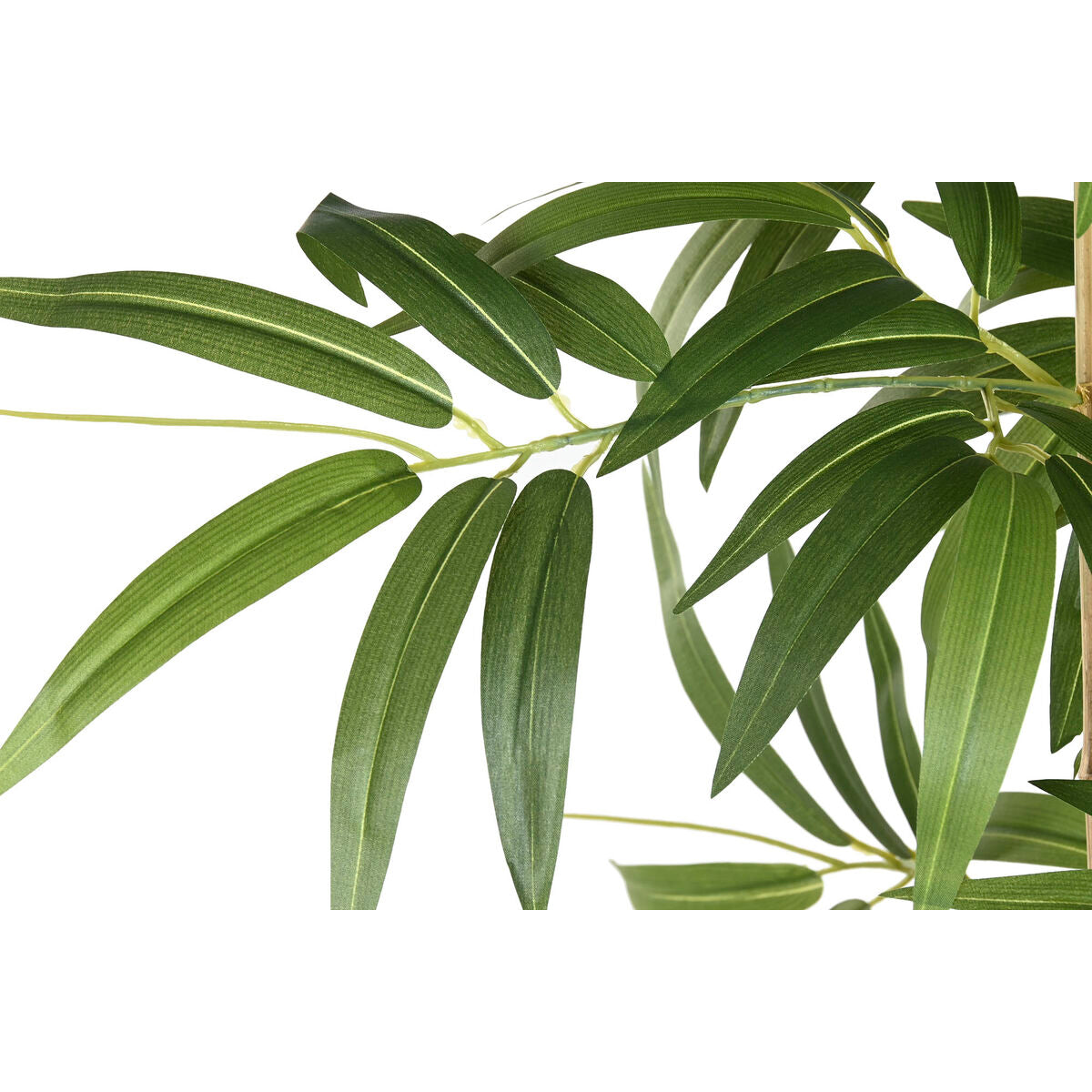 V2H4CEFFBC87E4E8E713E6FCC024FCC0DCDR7521816P2